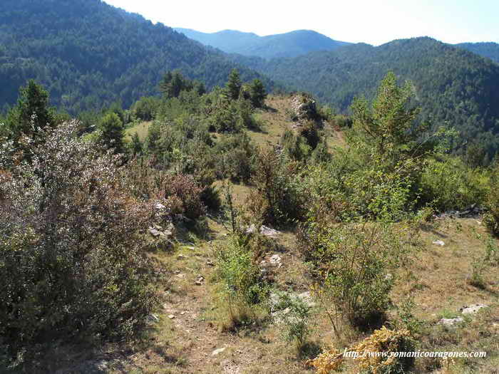 CAMPAS ALREDEDOR DEL TEMPLO